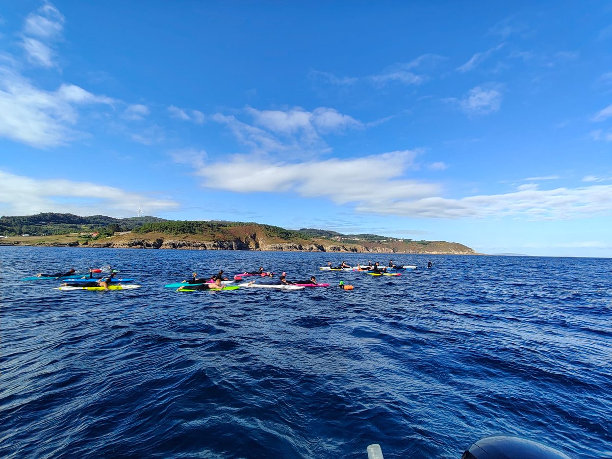 Salvamento Arteixo tweet media