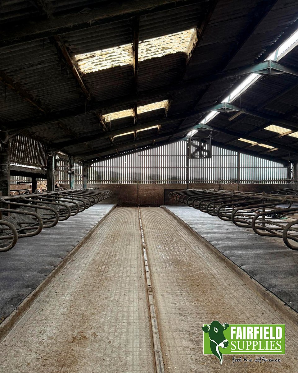 🌟SoftBed is the choice. Always. 
Another install complete - cubicles fitted with premium comfort that boosts lying time, improves hygiene, and cuts bedding use. 
Contact us today or visit us at <a href="/UKDairyDay/">UKDairyDay</a> to see the products and get advice tailored to your farm. 
#farm #Farmers