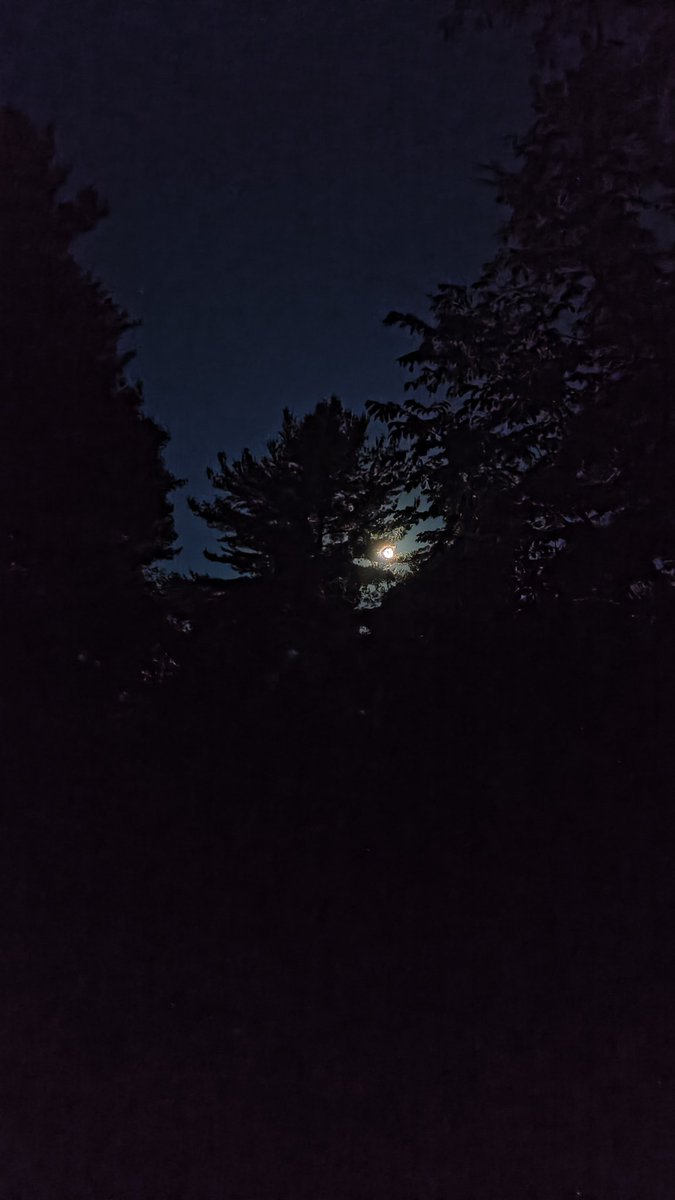 Good morning and happy Monday