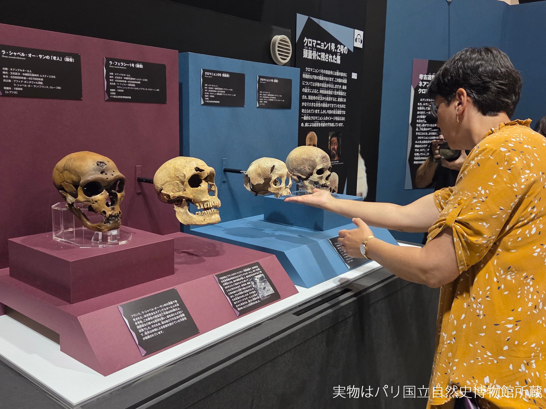 かはく【国立科学博物館公式】 on X: 