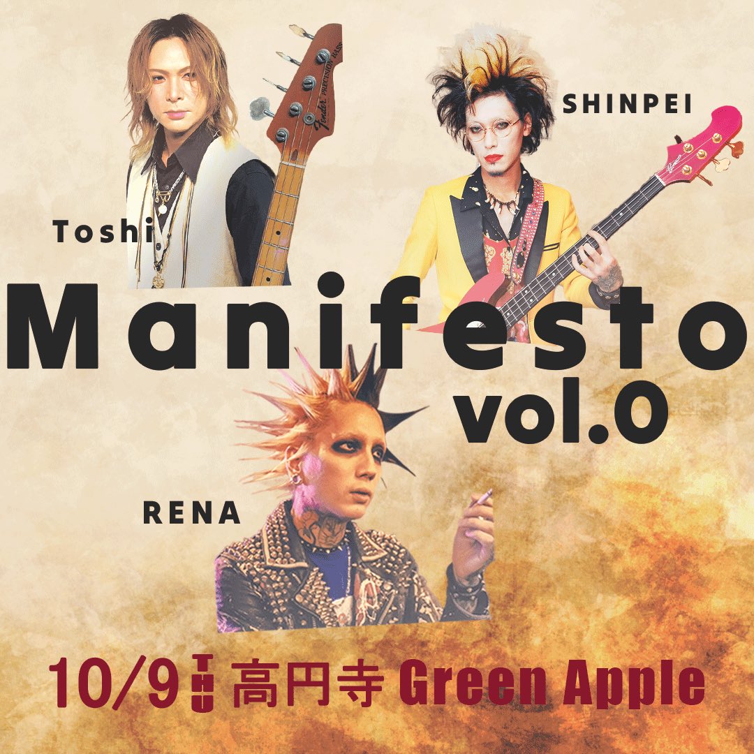 コレクション Toshi RARE Rockman Megaman ZERO and ZX Double Hero Collection Bust