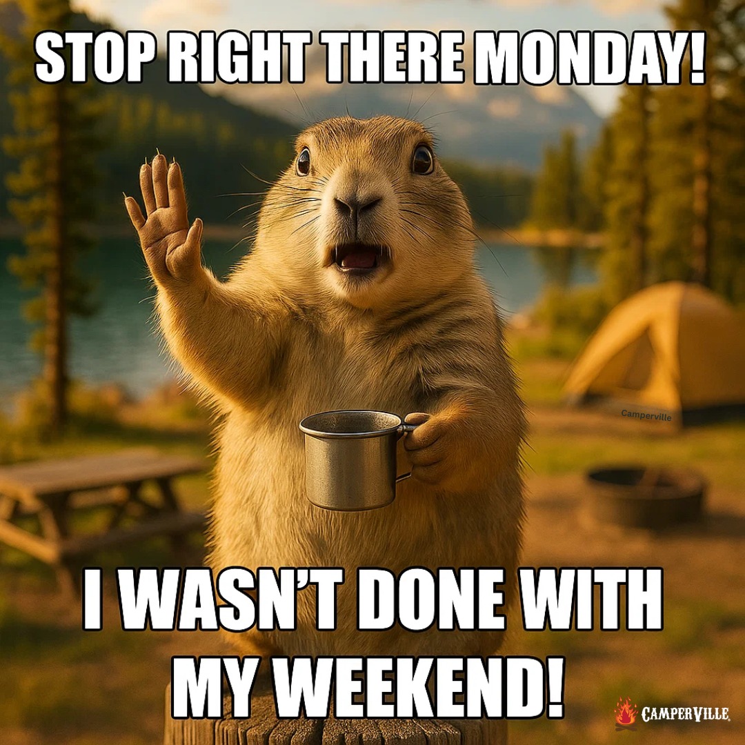 NorthernSpeech's tweet image. #ItsMonday #FastWeekend 
Credit: #Camperville