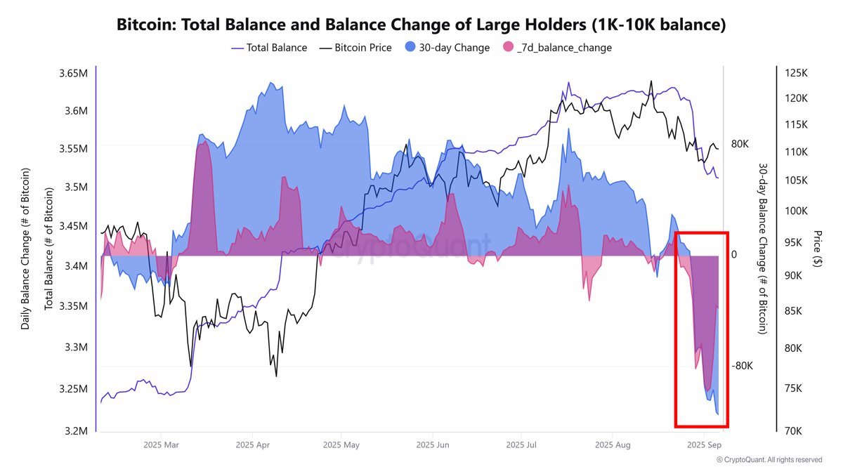 🚨IMPORTANTE🚨 Las ballenas de #Bitcoin están vendiendo con bastante  fuerza, alcanzando niveles de presión que no se veían desde el 2022, con  más de 115,000 Bitcoin vendidos en los últimos 30 días