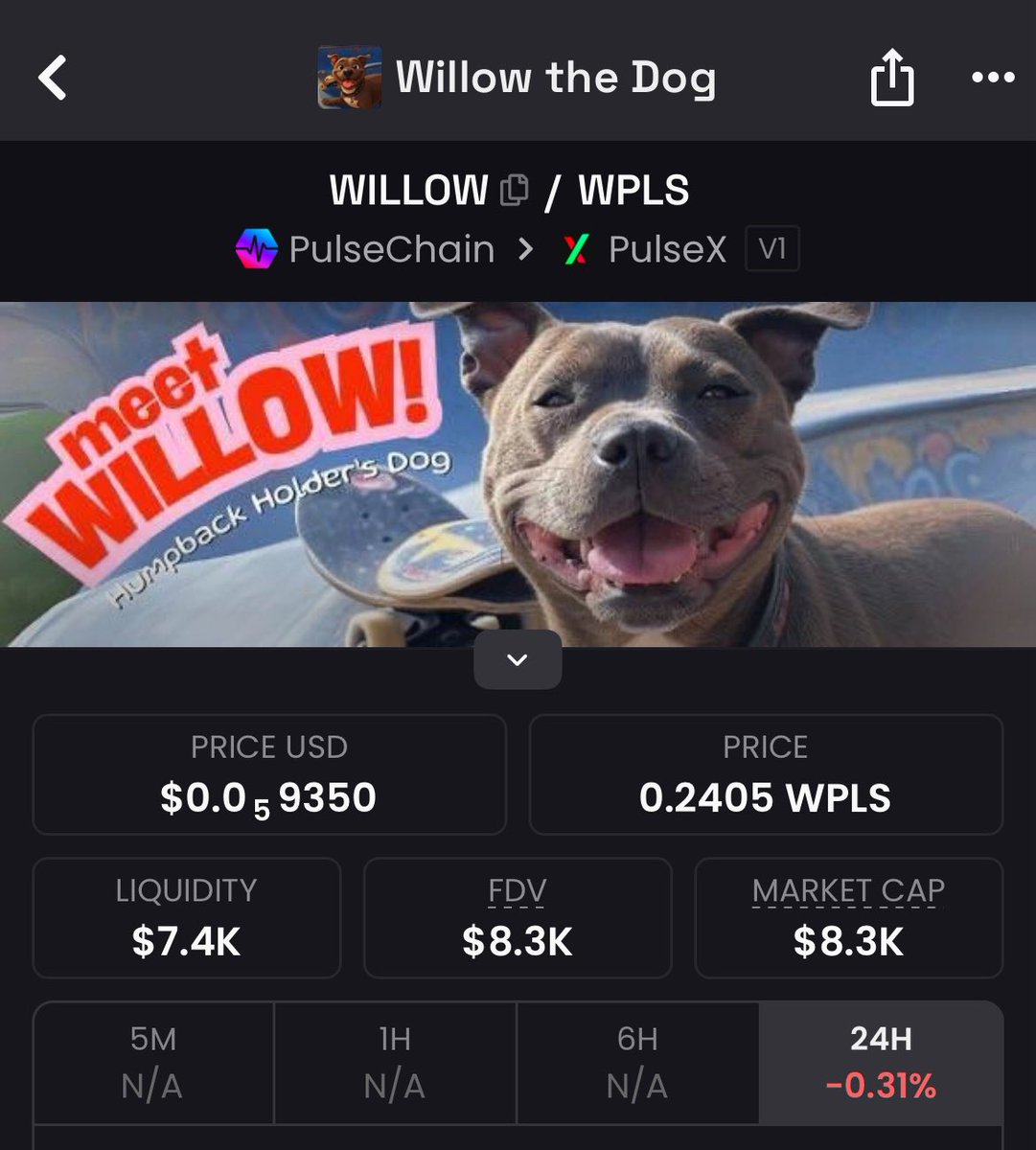 ! xvhere tweet media