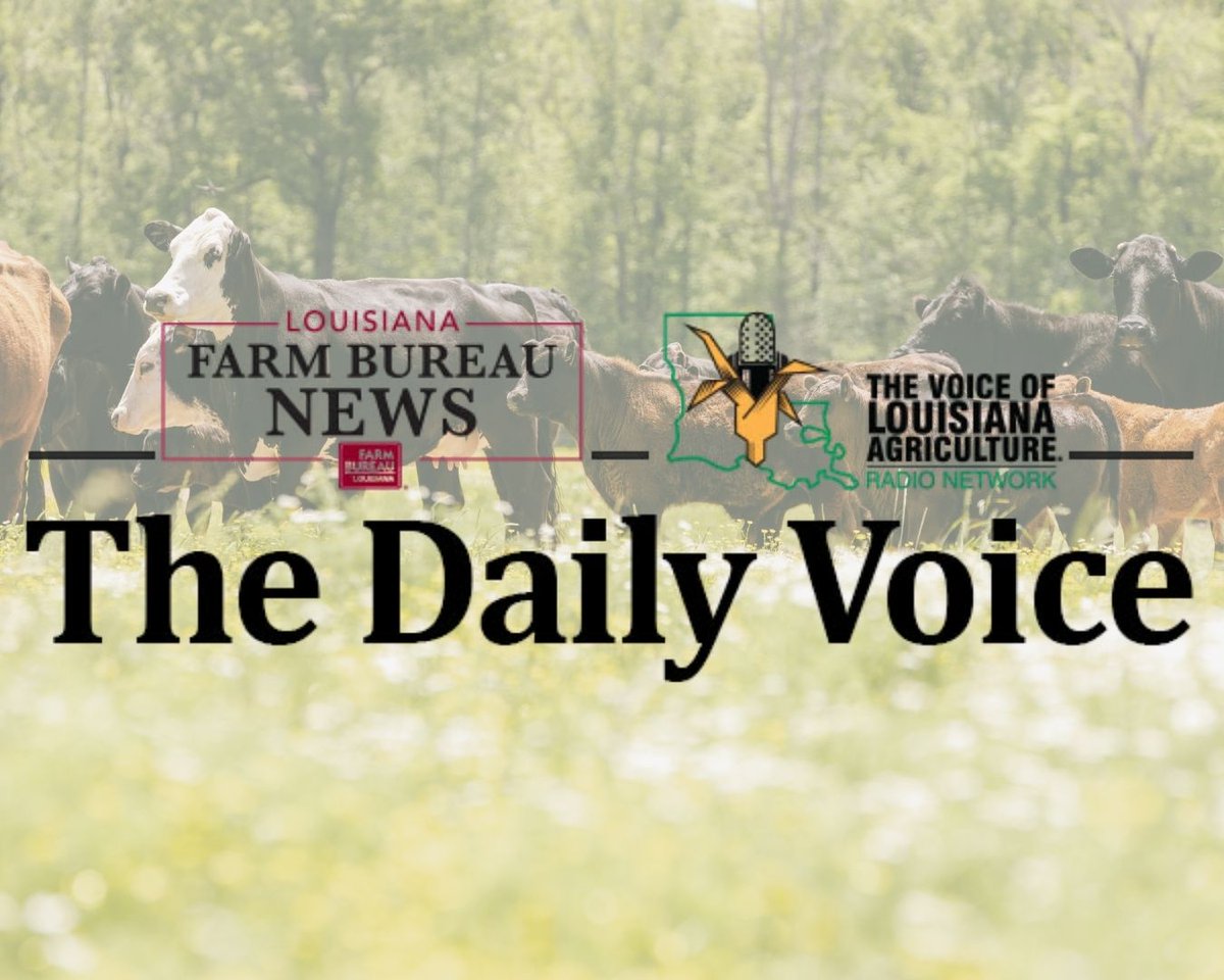 Your quick, reliable source for Louisiana ag news—today’s Daily Voice: mailchi.mp/lfbf/the-daily…