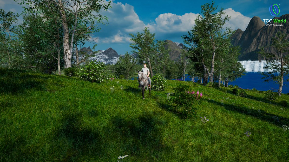 JonDixonTCG tweet media