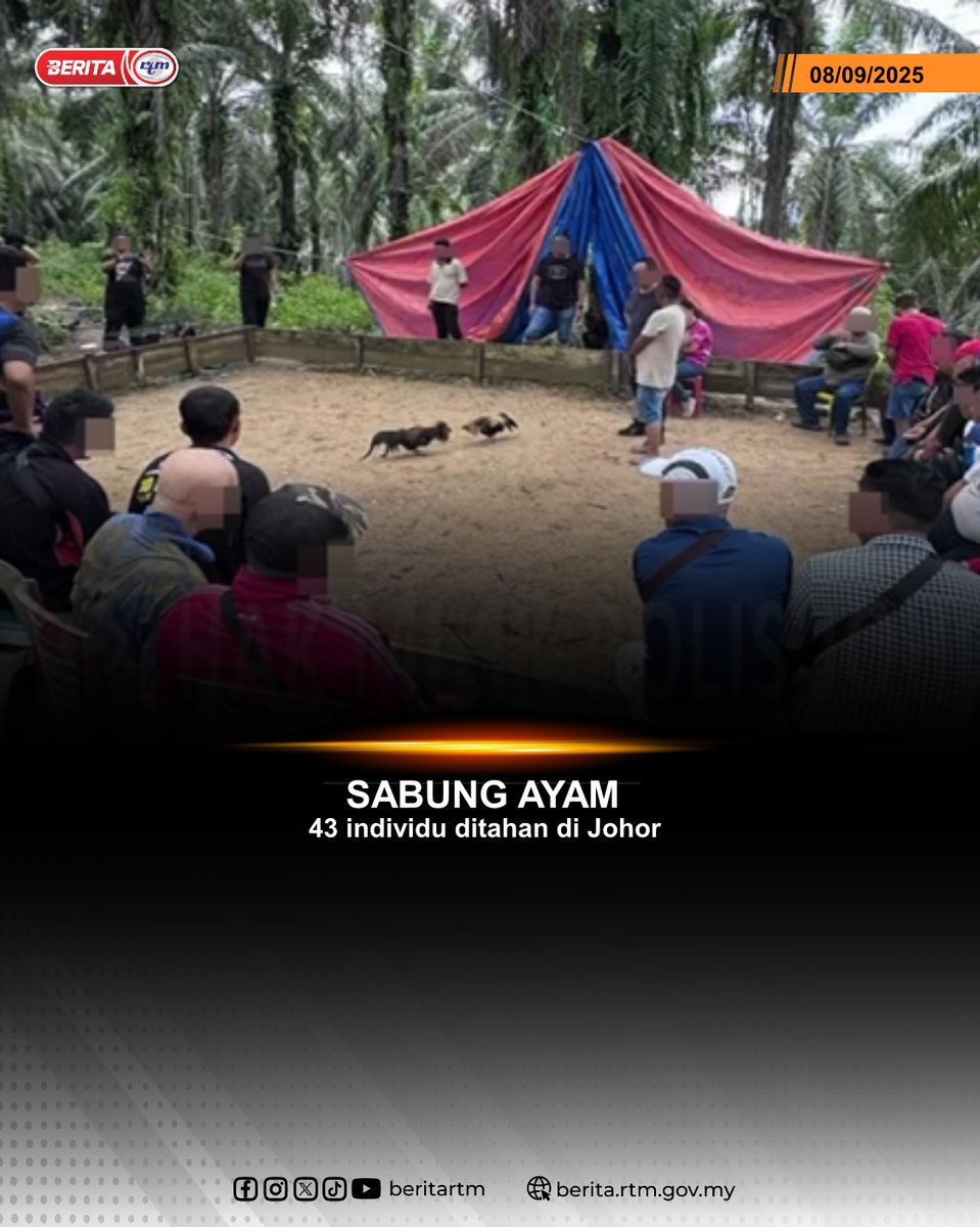 Seramai 43 individu termasuk 15 warga asing dipercayai terlibat dalam kegiatan sabung ayam, ditahan polis dalam dua serbuan berasingan di Johor Bahru dan Kota Tinggi, semalam

berita.rtm.gov.my/jenayah/senara…

'Malaysia MADANI, Rakyat Disantuni'

'Yang sahih di RTM'
#RTM #BeritaRTM