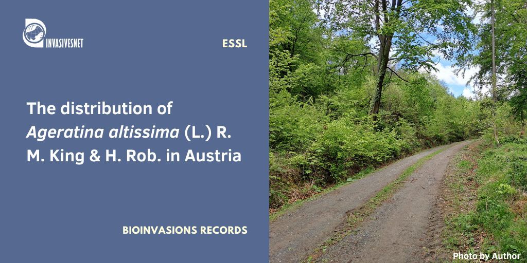 Invasivesnet's tweet image. Current distribution of the White snakeroot Ageratina altissima in Austria. Given its substantial expansion, the future spread of Ageratina altissima should be monitored, and if necessary, management actions should be taken. Open access buff.ly/saxdbSu #INVASIVESNET #BIR