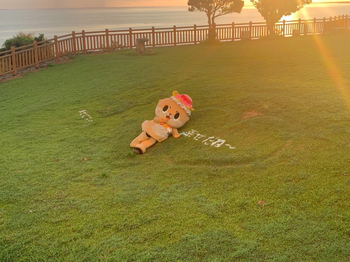 公式:ちぃたん☆沖縄 (@chiitan_okinawa) on Twitter photo ちぃたん☆の思いが芝生に溢れてます💗
ちぃたん☆の幸せも、世界中のみんなの幸せもずっと続くといいね✨
Hope the world stays happy forever. ちぃたん☆の思いが芝生に溢れてます💗
ちぃたん☆の幸せも、世界中のみんなの幸せもずっと続くといいね✨
Hope the world stays happy forever.