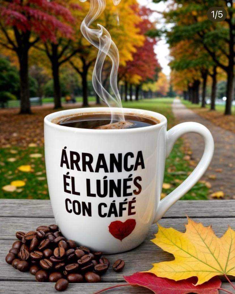 Richard_g2020's tweet photo. La belleza de la vida es que cada día podemos volver a comenzar, aunque a veces parezca imposible🗓️
Feliz día, feliz inicio de semana, feliz vida😃☕☕

#BuenosDías #Cafecito #FelizLunes #Coffee #CafeConNata #FelizInicioDeSemana https://t.co/cTXnTScxmJ