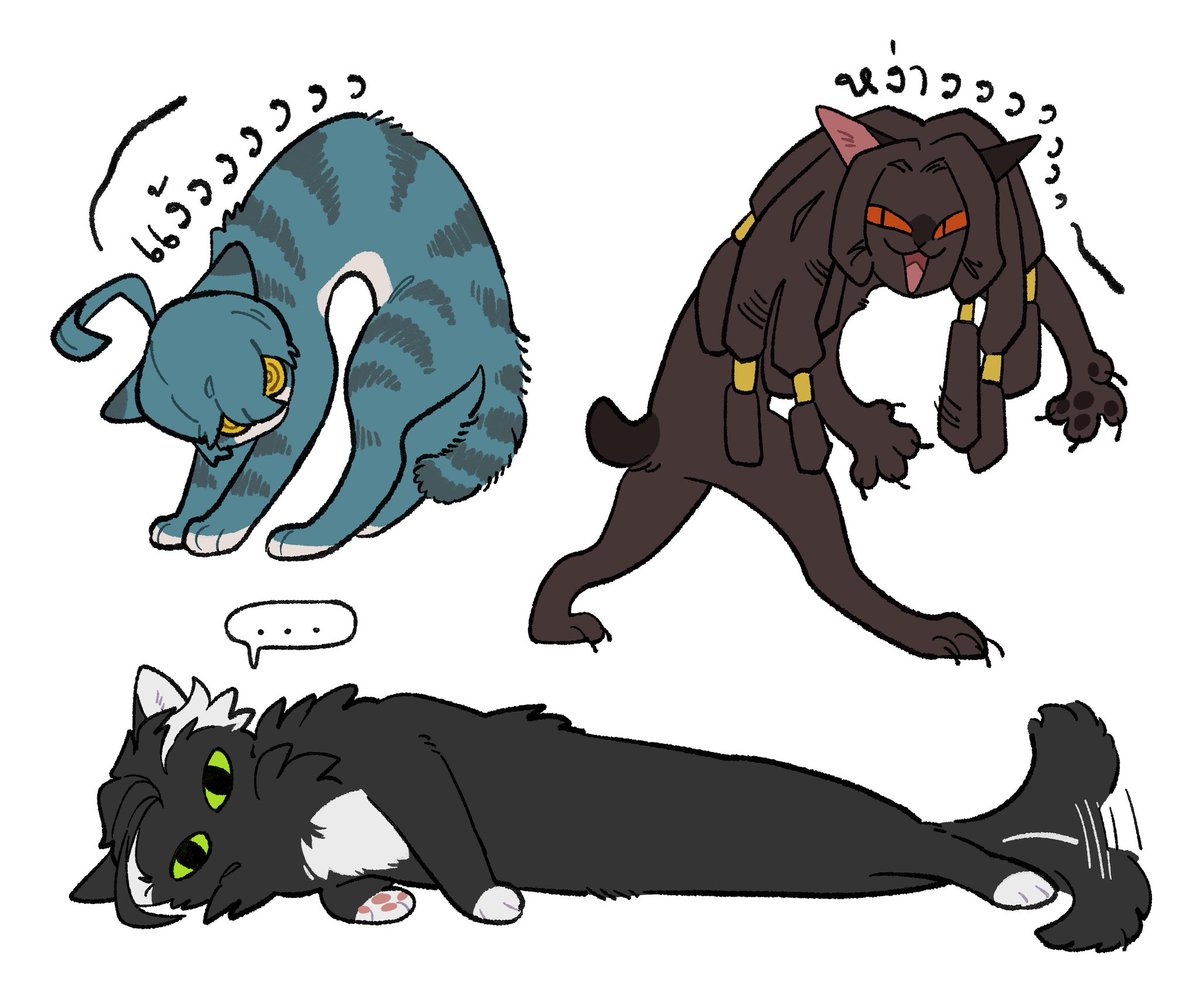 แก๊งแมวเป้า