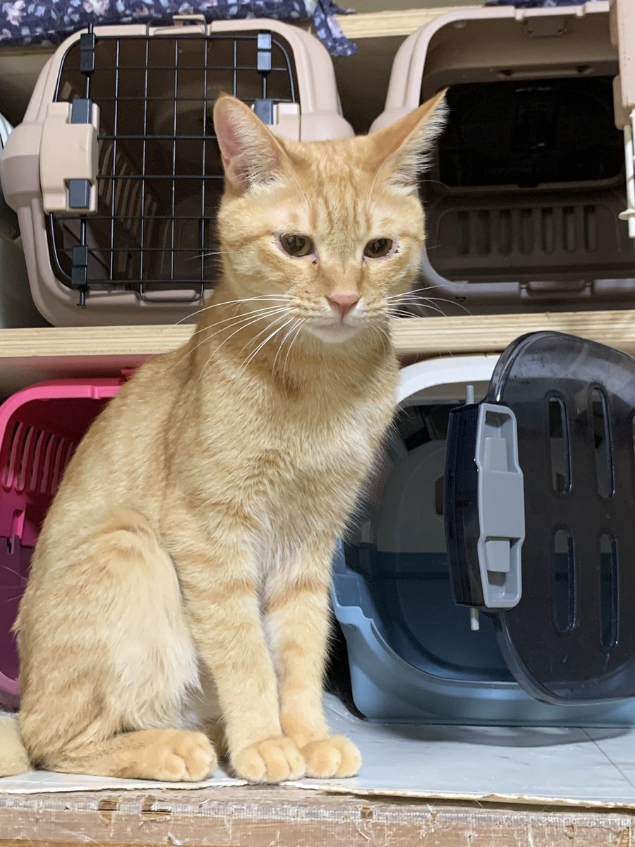 なな姉❤FF (@77nana777neesan) / Posts / X