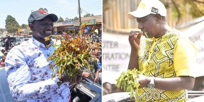 Wapi Makofi ya Muanzilishi wa Ugatuzi <a href="/RailaOdinga/">Raila Odinga</a> Hekima Yake,Ujasiri,Upendo Muungu ampe Nguvu ya Kusonga Mbele,Na Wewe <a href="/WilliamsRuto/">William Samoei Ruto, PhD</a> Ongeza <a href="/hustlerfund_KE/">Financial Inclusion Fund</a> hivi sasa napokea Elfu ishirini Mara that that bills za hapa kule namaliza bila kustress Wakenya naona muhula mwengine 2.