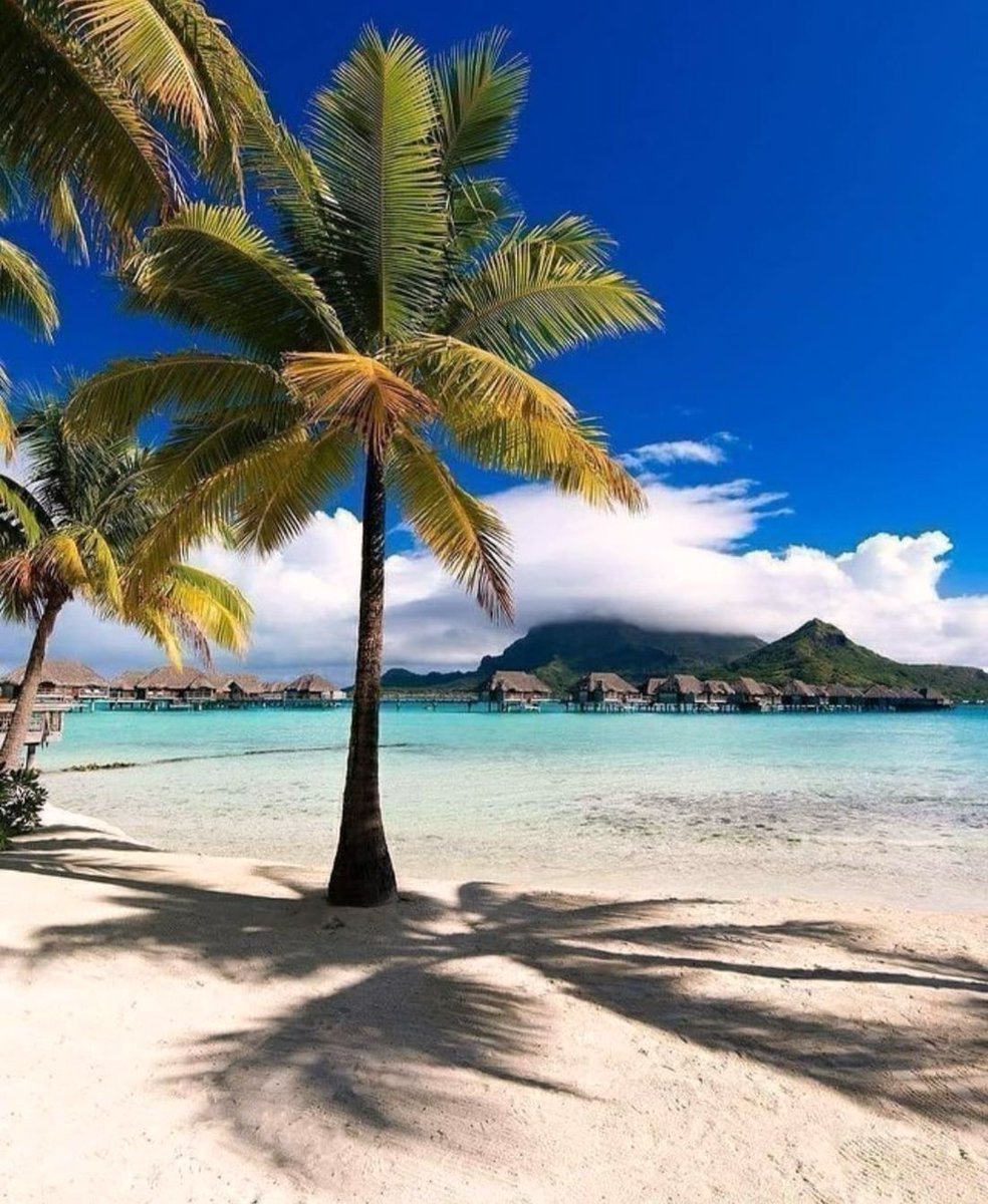 ruby_willi19034's tweet image. Bora Bora