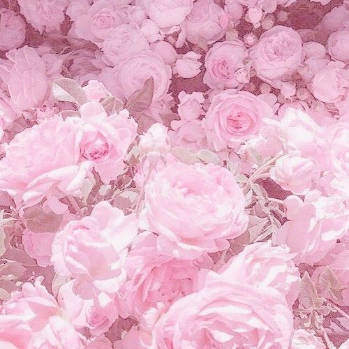 ๐งทเผ๏ธ๐โ๐๐๐'๐ ๐๐ข๐ ๐๐ เผ๏ธ๐งท tweet media