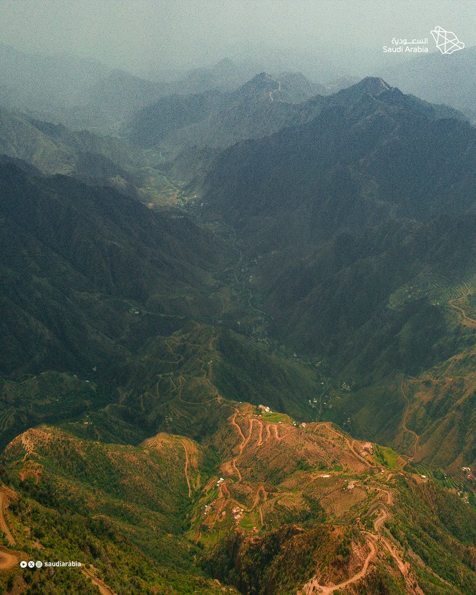 Saudi Arabia tweet media