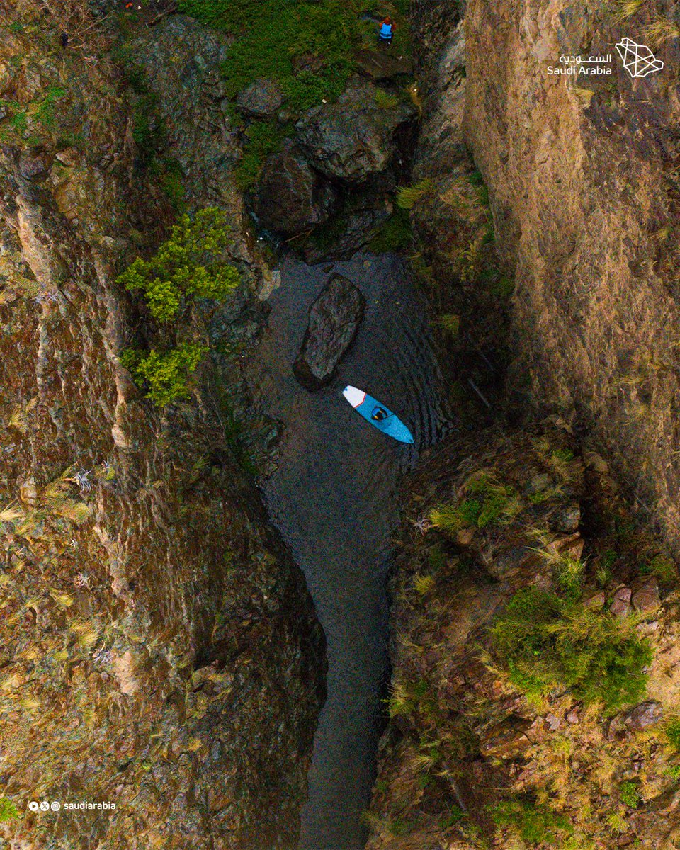 Saudi Arabia tweet media