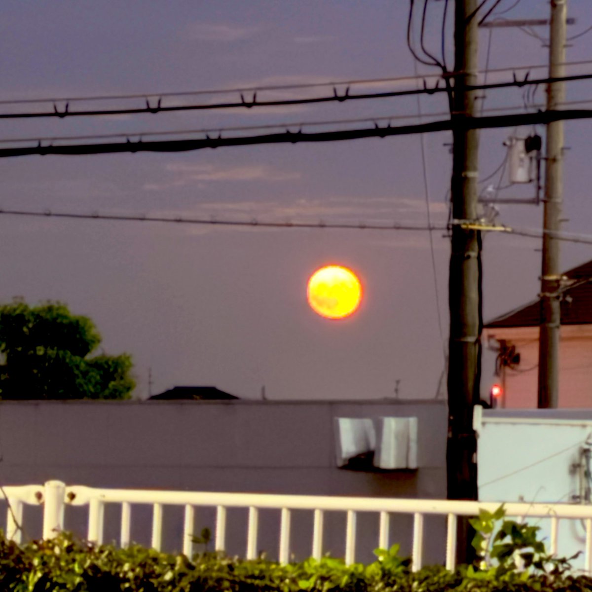 ふつくしい…