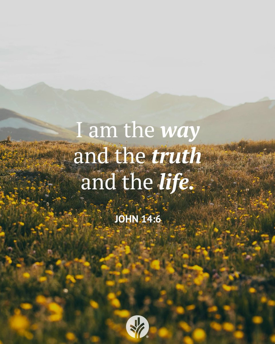 johnsonrn's tweet image. 