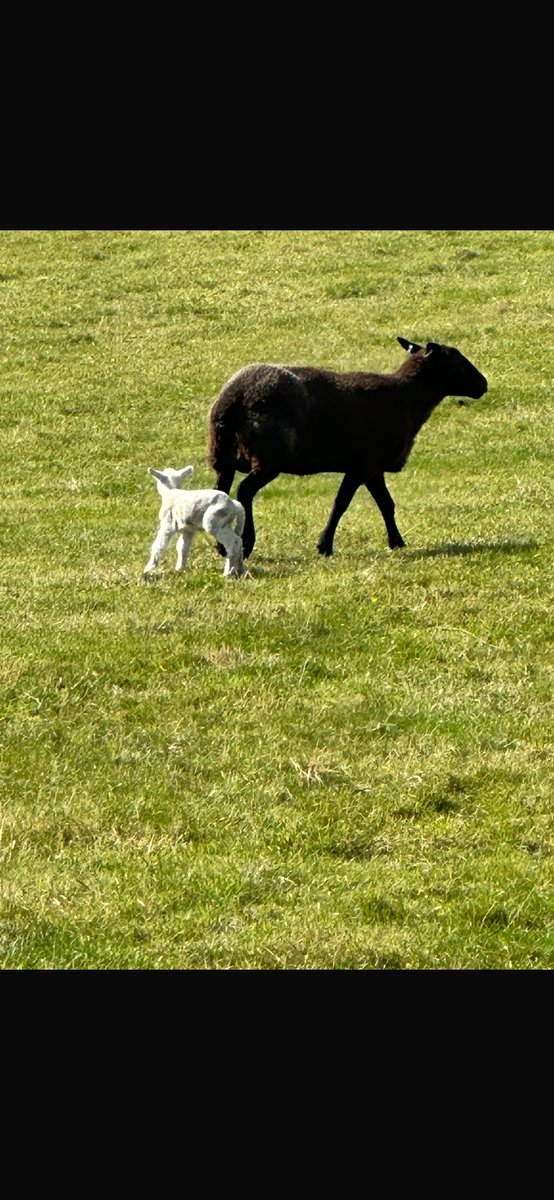 Dim syniad am hwn 😳
No idea how this happened 😳