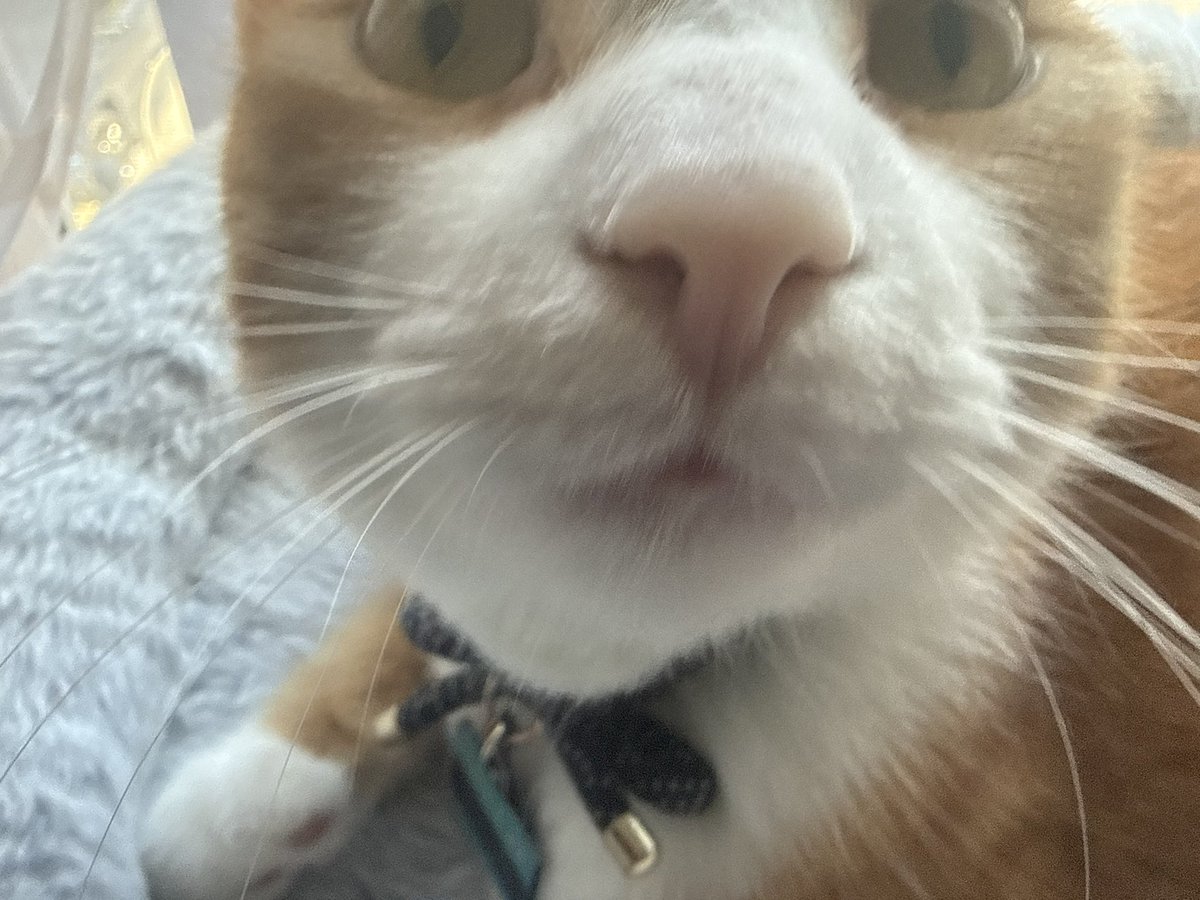 Morring give him your credit card information or say hi