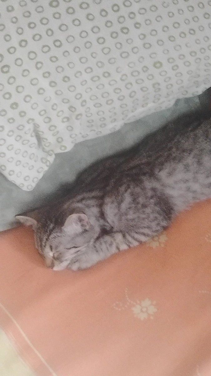 sleeping better than me🥲