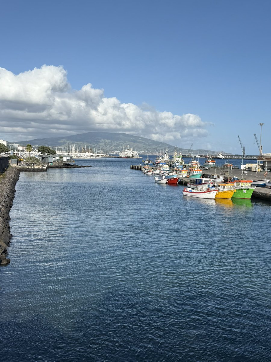 GeomarResearch's tweet image. Comenzamos el Congreso Ibérico de Geoquímica en la isla de São Miguel (Azores) 🌊🗺️💎⚒️