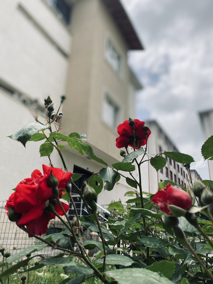 Bazı mekanlara olan özlem, hiç eskimiyor...