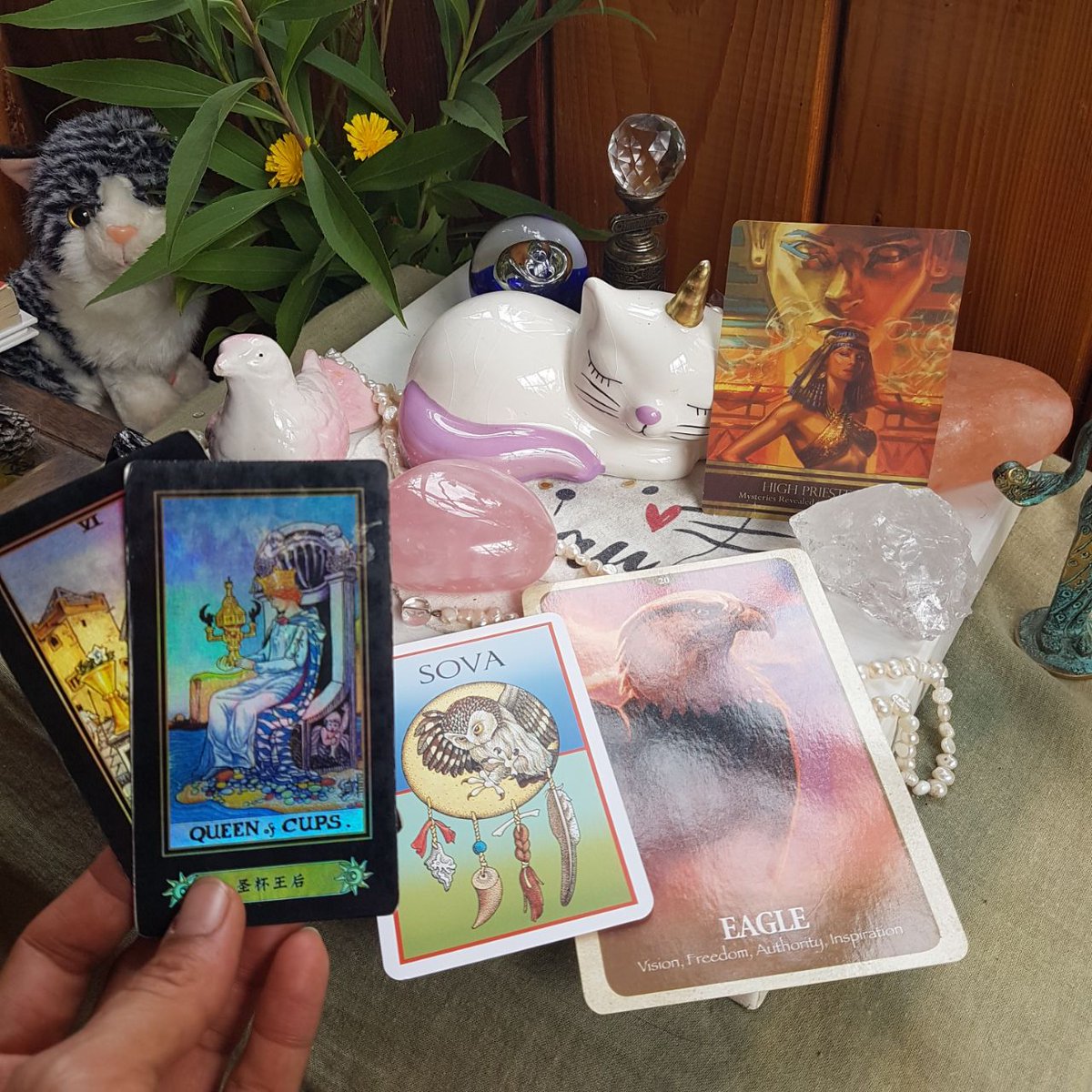 akka miau tweet media