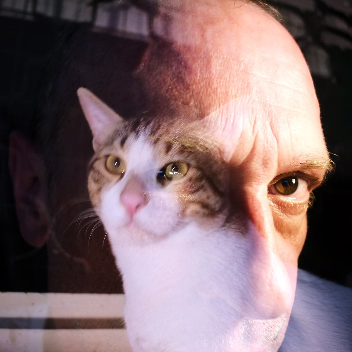 ruriak's tweet photo. "Me and my daemon"
#incamera #doubleexposure #fujixpro3 https://t.co/pt9OVa1Uq7
