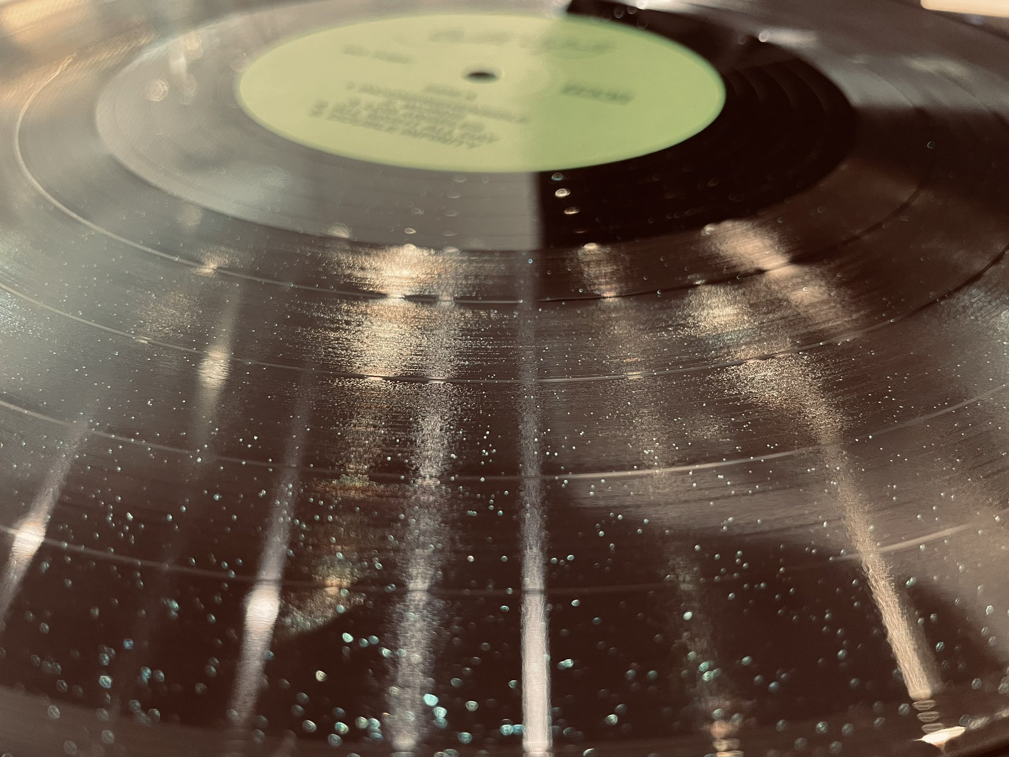 【新品未開封】【レコード】Big Thief Capacity Amazon.co.jp: BIG THIEF - CAPACITY (1 LP): Music