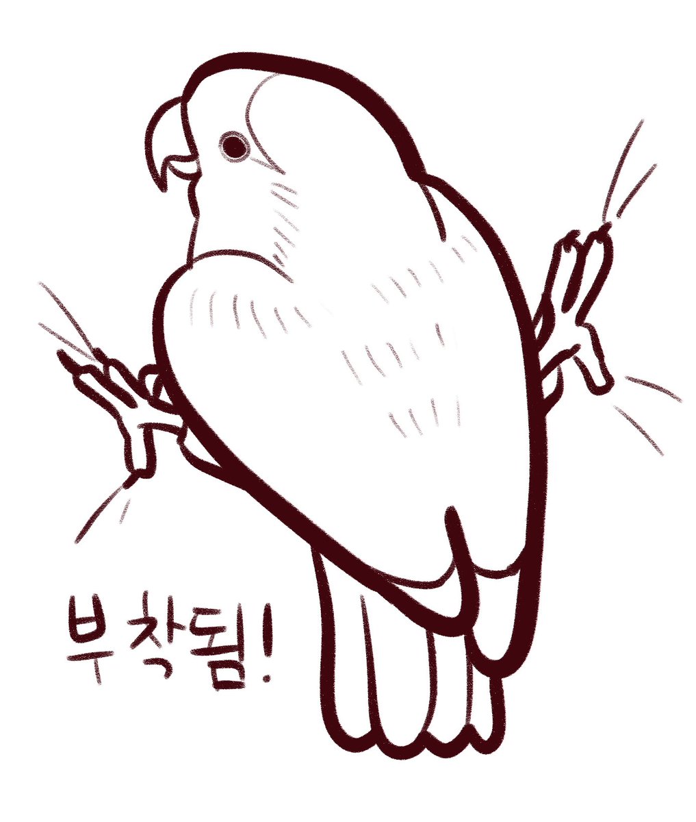 저희집매미는좀특이합니다