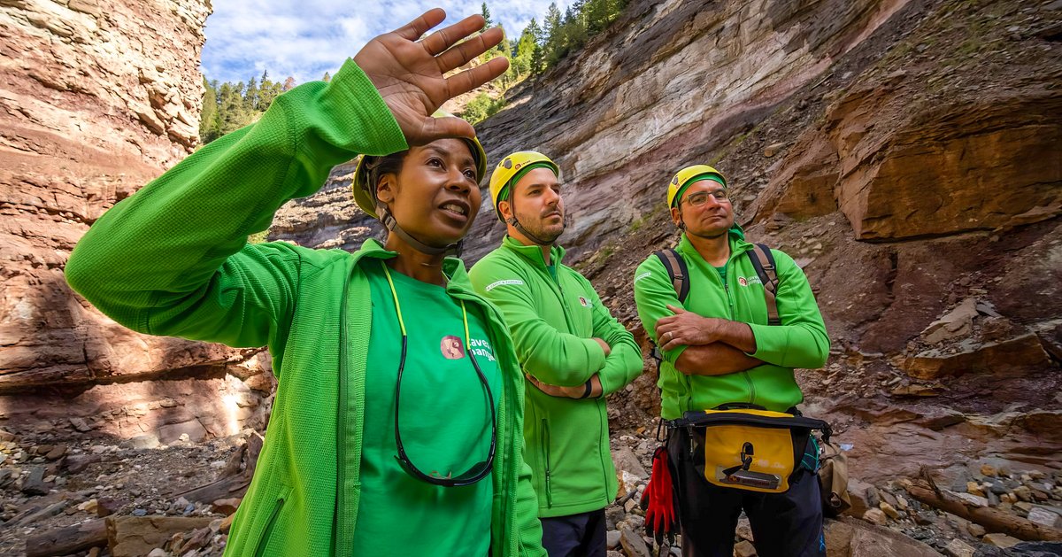 Università di Padova tweet media