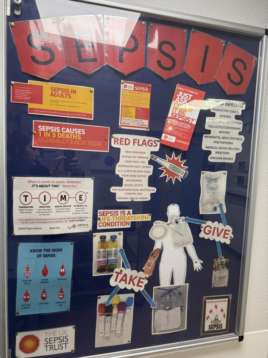jess_dens's tweet photo. Bob Jakin Sepsis board is up! This is to raise awareness and educate staff, patients and their loved ones of the signs and symptoms of Sepsis. We’ve included leaflets at our entrance @stace_thorne  @ShirleyPreston1  @AlisonBakewell @carolbrad1  @nag2710 #SepsisSeptember https://t.co/oaHAl7GfJz