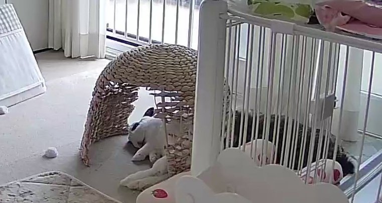 고된 하루입니다.......