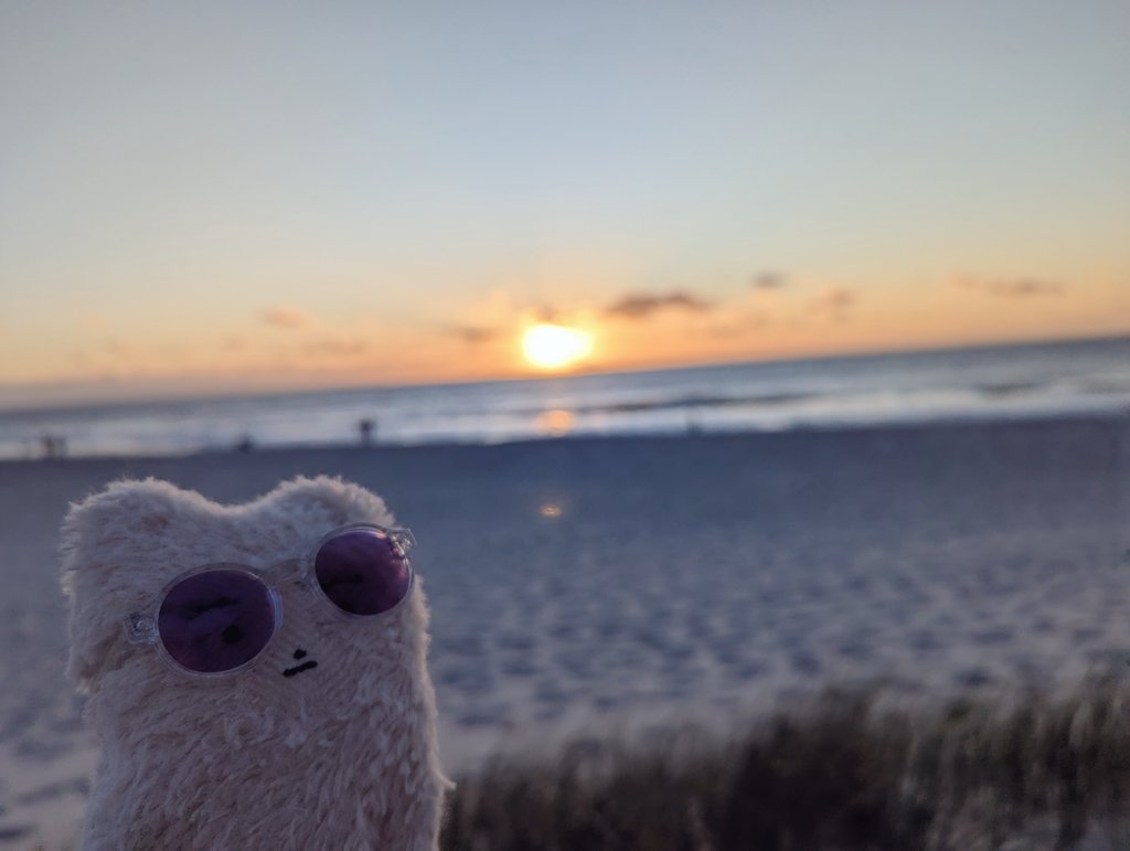 🌅