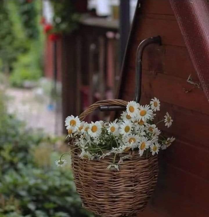 Ölüyorum, 
Annem bana hiç kızmıyor.

Umay Umay 📚