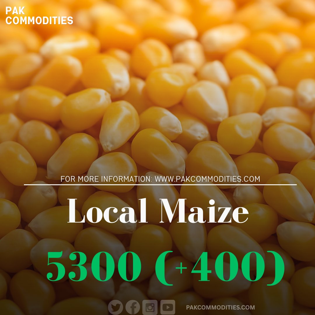 pakcommodities1's tweet image. Pak commodities Islamabad
#maize #localrates #pakcommodities