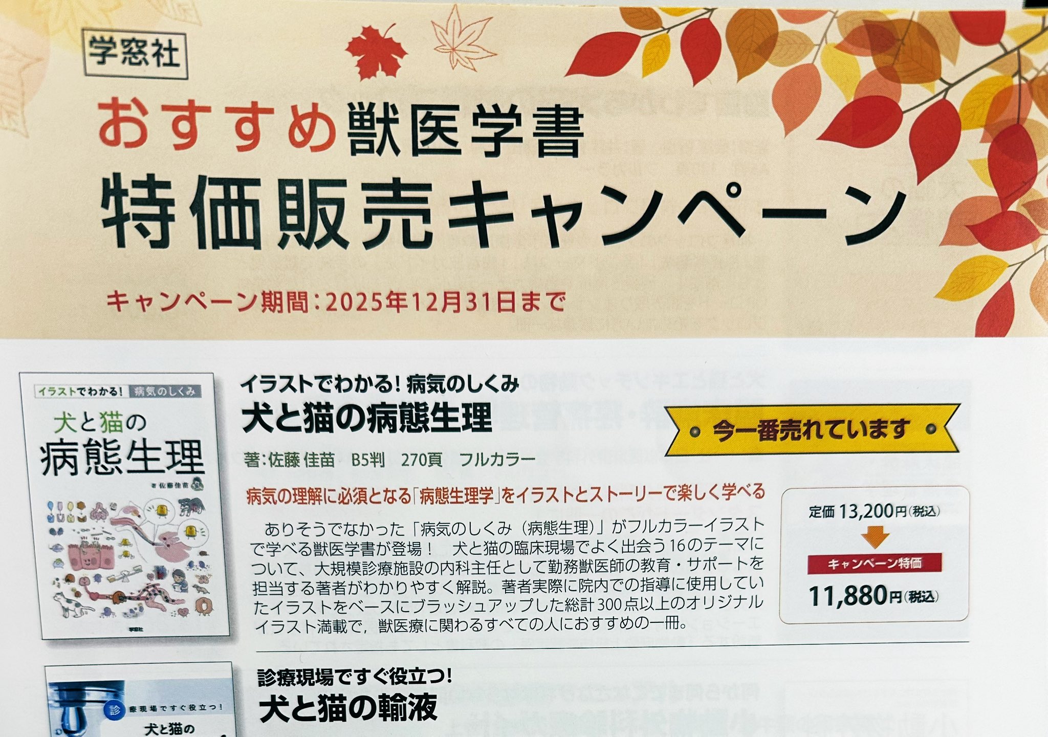 は*認様 【裁断済】イラストでわかる! 病気のしくみ 犬と猫の病態生理 は*認様 【裁断済】イラストでわかる! 病気のしくみ 犬と猫の