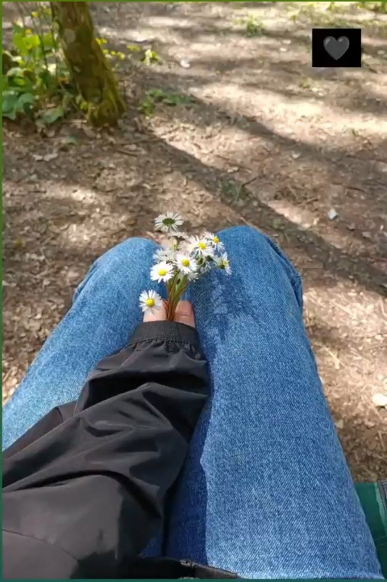 pymsszi's tweet image. papatya sewdigimi söylemişmiydim