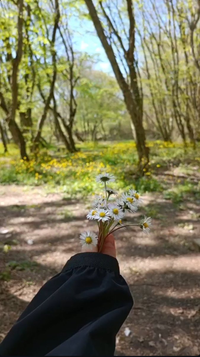 pymsszi's tweet image. papatya sewdigimi söylemişmiydim