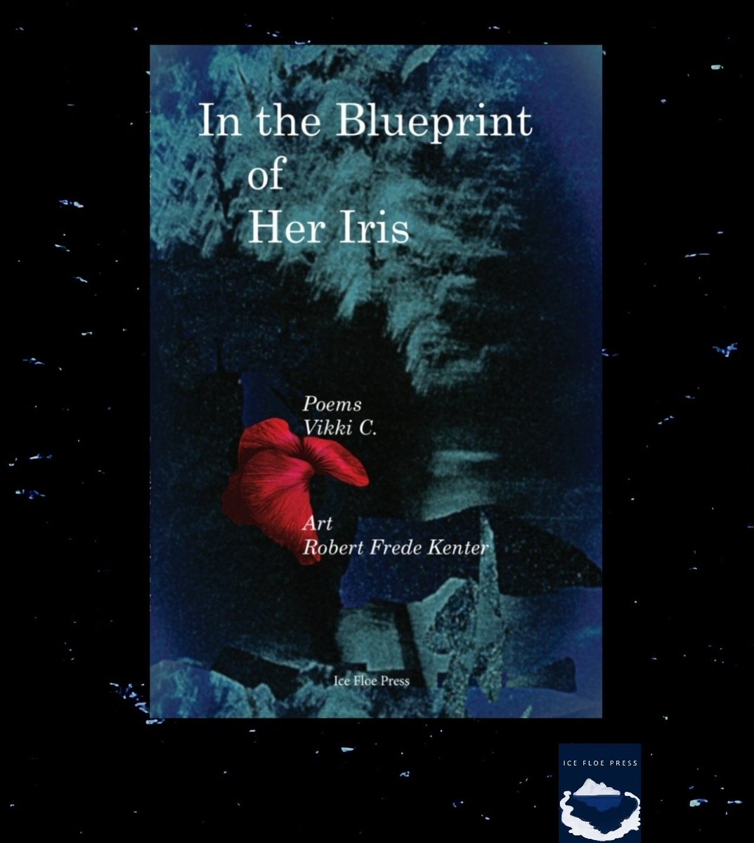 🔥IN THE BLUEPRINT OF HER IRIS is now available for pre-order from Ice Floe Press 🔥

A hybrid collaboration – my poems &amp; visual art by <a href="/frede_kenter/">RobertFredeKenter</a>.  An urgent dialogue on ecologies, heritage, &amp; love during crisis. Order link below ⬇️

icefloepress.net/in-the-bluepri…