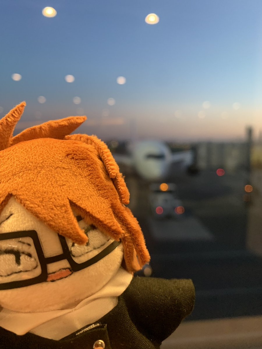 とめぇと (@rannrarara) / Posts / X