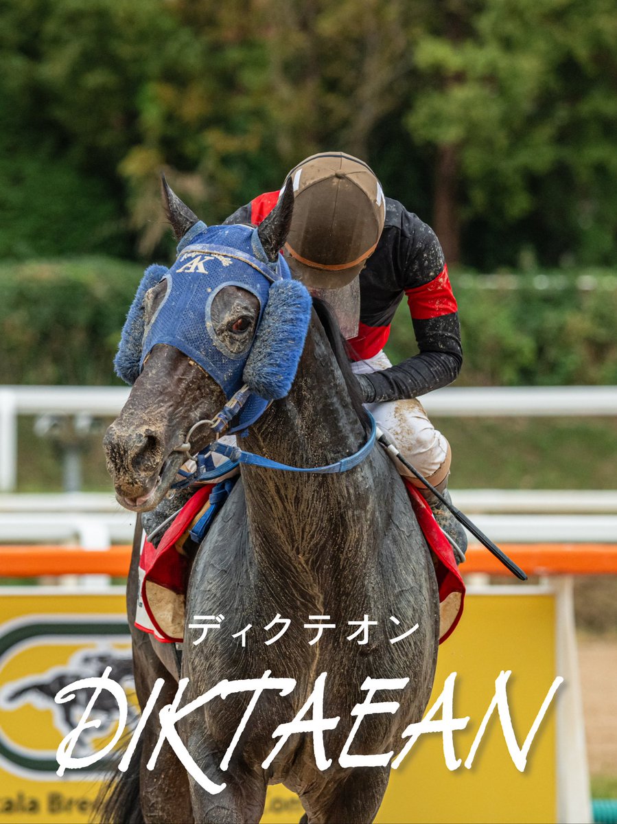 LUNA_0501_'s tweet photo. 2025.09.07. Korea Cup

🐴 DIKTAEAN(ディクテオン)
🧑🏻 矢野貴之(Yano Takayuki)

#koreacup #DIKTAEAN #ディクテオン #矢野貴之 #takayukiyano https://t.co/LILTls2NpG