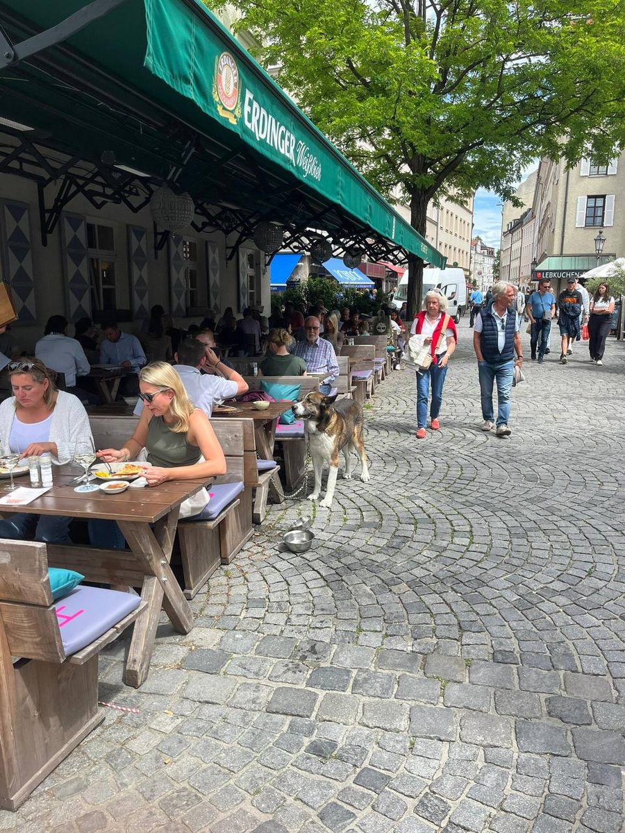 🇺🇸camila miranda🇺🇸 (@camilamiranda70) on Twitter photo 