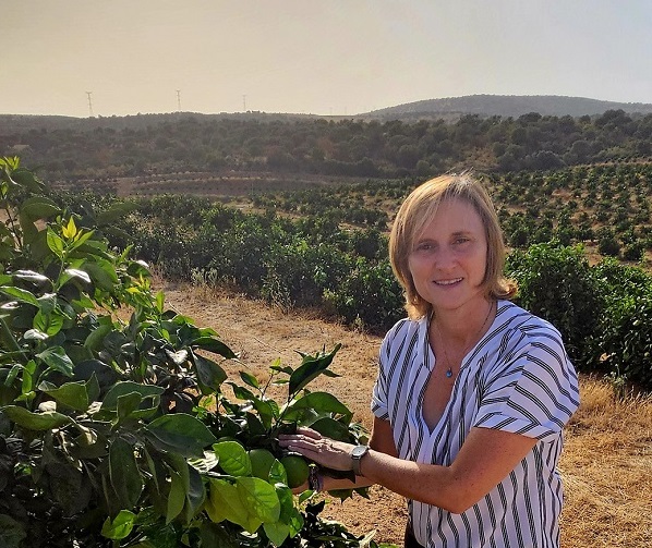 CuadernoAgrario's tweet photo. 🍊 @ASAJASEVILLA: "La propuesta de #Intercitrus es desequilibrada, está mal enfocada y debe replantearse"
+INFO: https://t.co/RX4aaENlho https://t.co/QPR4ANUt3t