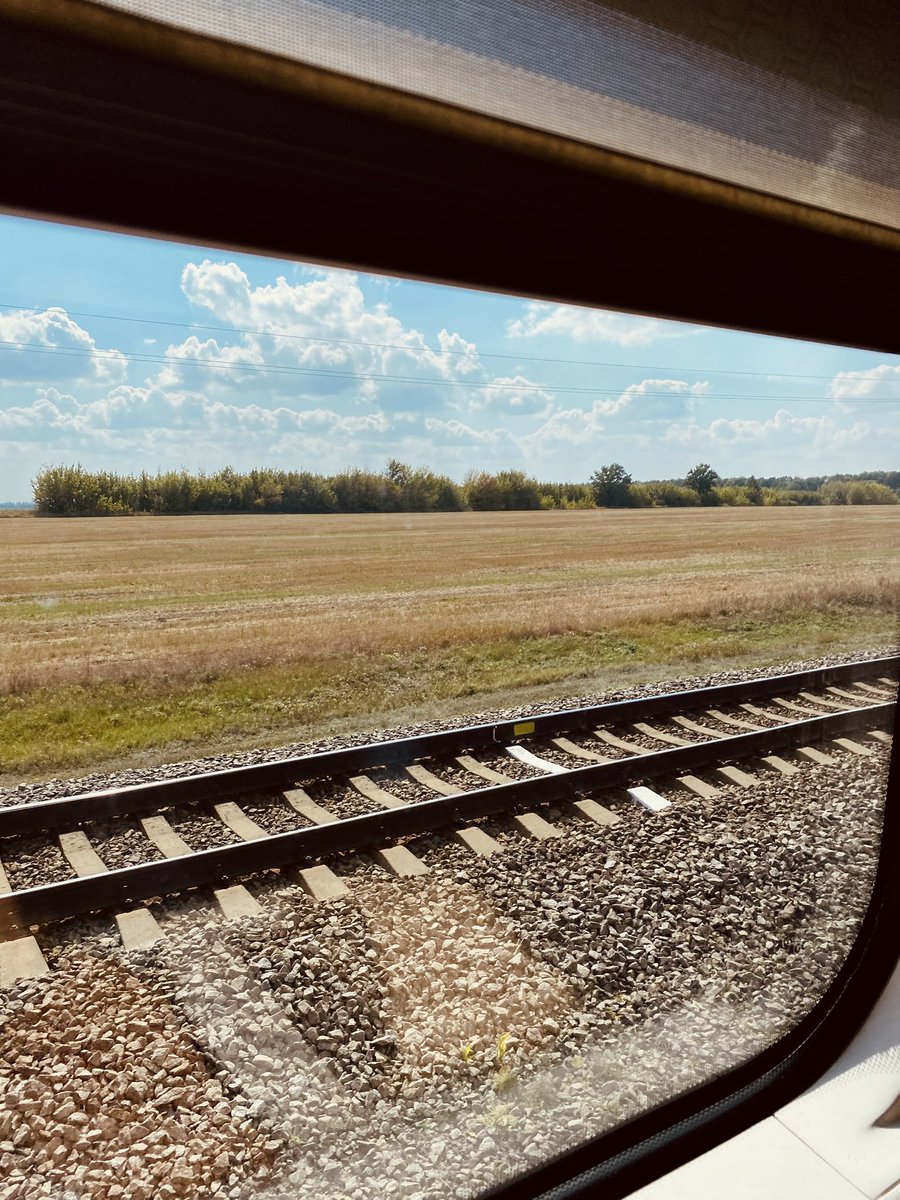Харківʼянка tweet media