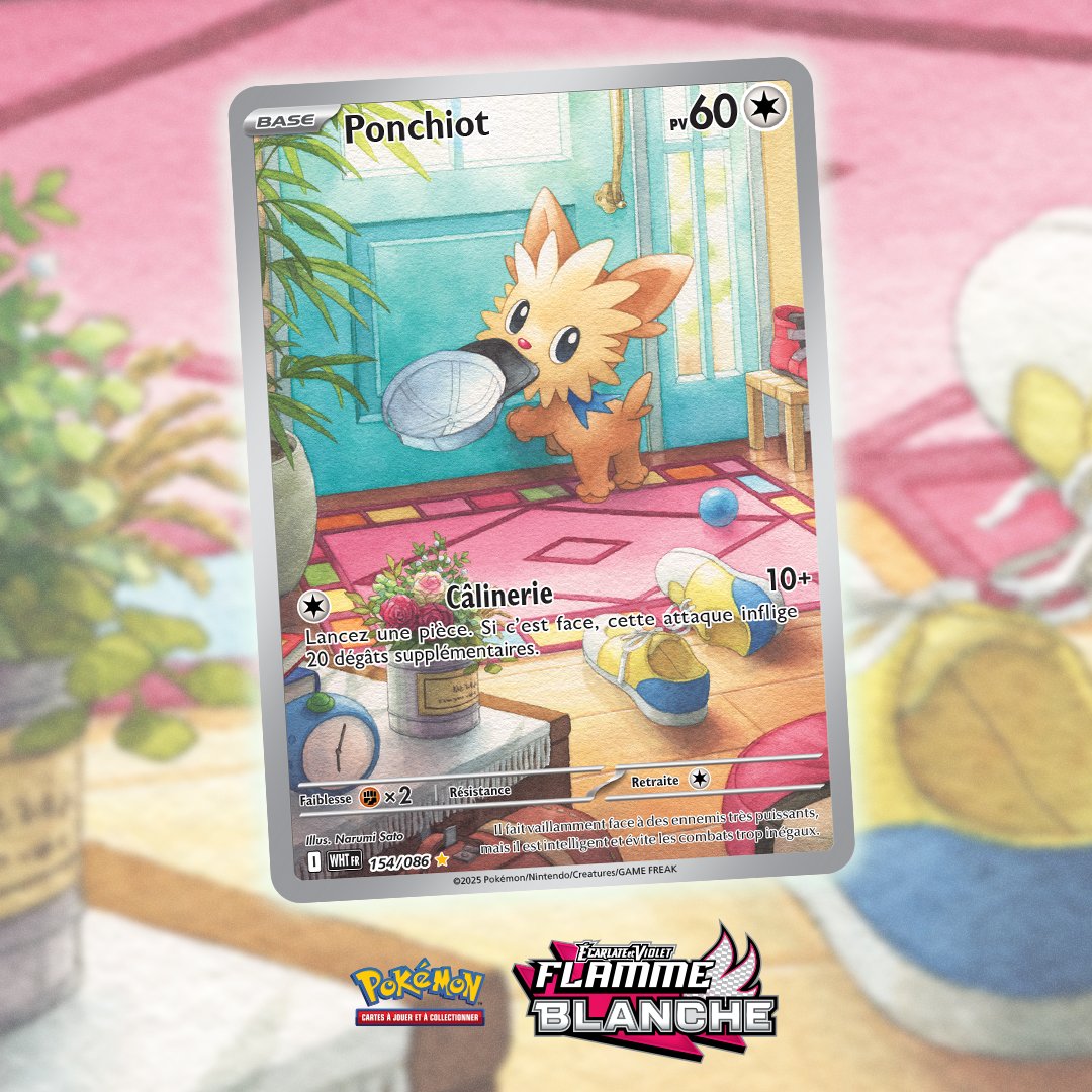 Arrêtez ce que vous êtes en train de faire ! Ponchiot veut sortir pour jouer ! 🐶🧢