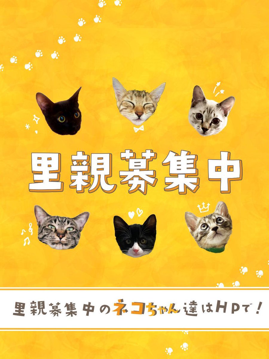 拡散RTにご協力ください。

保護猫たちの里親様を募集しています。
是非ご家族に迎えてあげてください。

詳しくはこちら👇
hogonekonoie.jp/satooya/

#猫
#保護猫
#里親募集