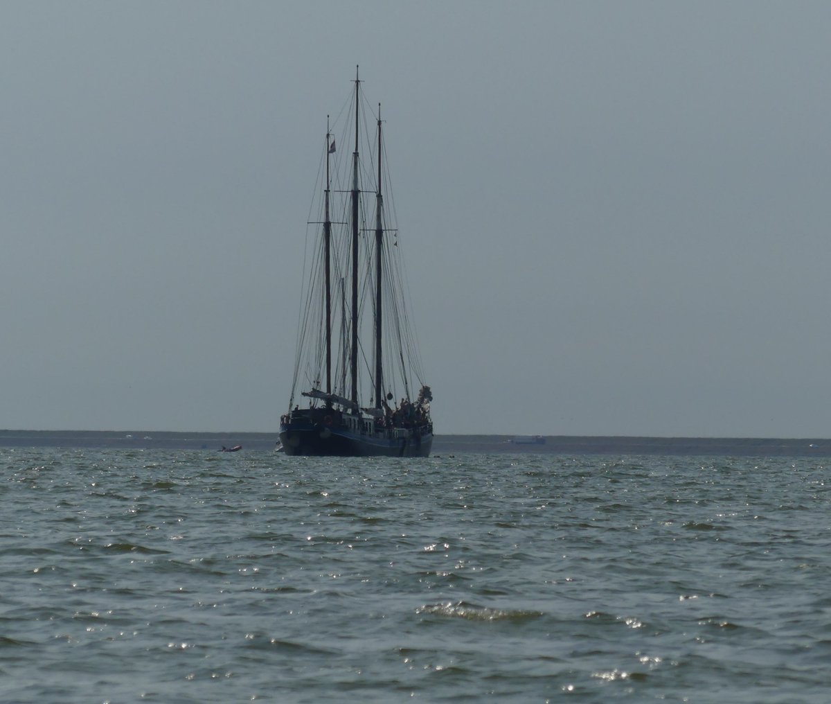 Rotraud Falke-Held tweet media